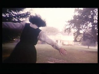 Créatures célestes