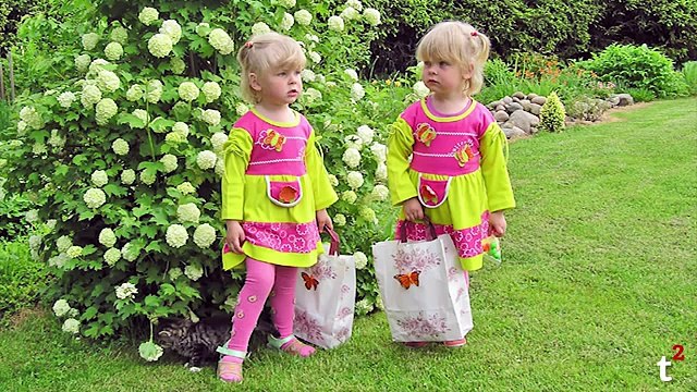 Surprising Facts About- Twins
