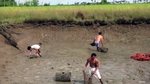 Fishing Cambodia Style by empty the water from a small pond to catch fish | Fishing at Cou
