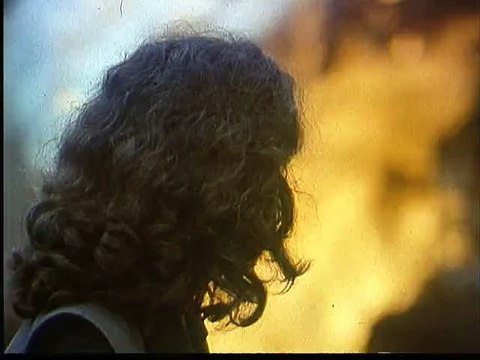 Gorilles dans la brume