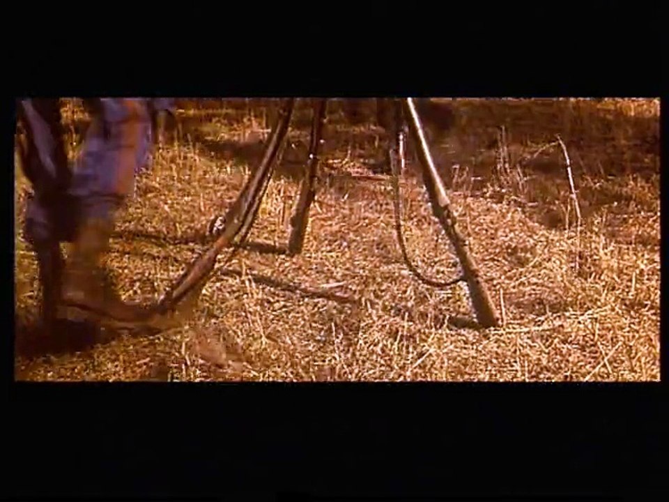 Le tigre de Malaisie