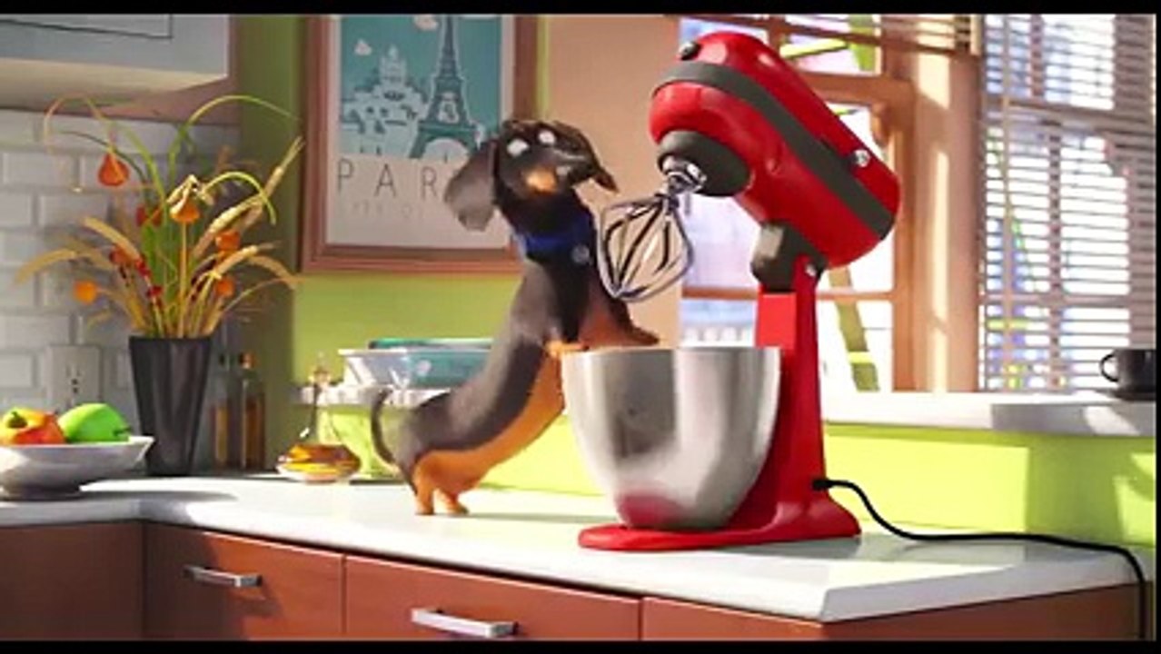 Dog with mixer