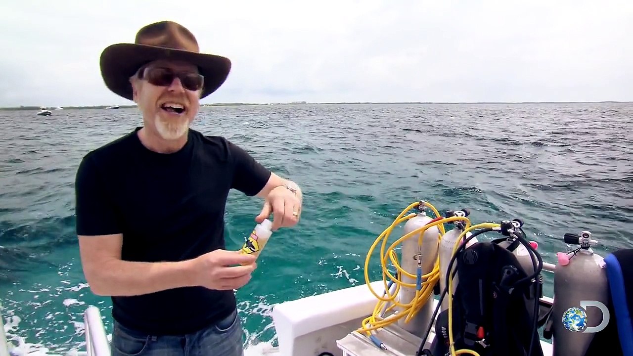 Does Essence of Dead Sharks Work as Shark Repellent?