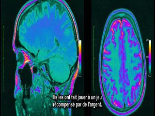 A regarder absolument!