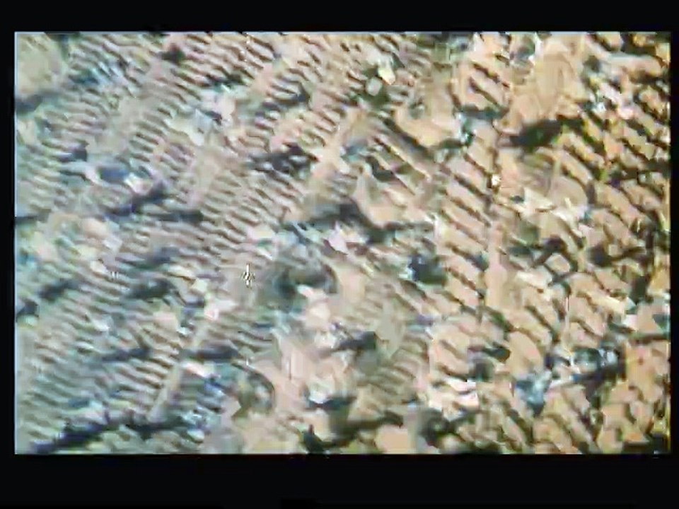 Jonathan Livingston le goeland