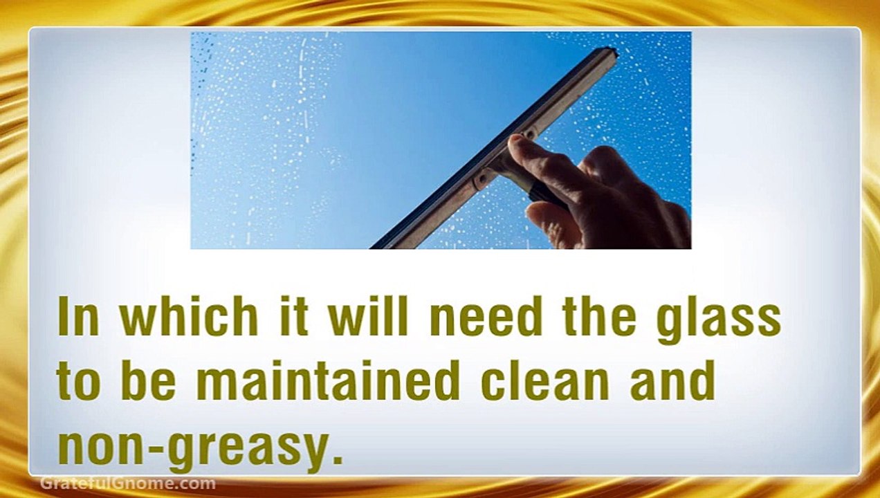 Window Bird Feeders Are Best for Watching Birds Closely