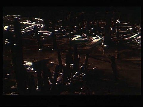 Le Loup-garou de Londres