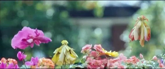 Les Chroniques de Spiderwick