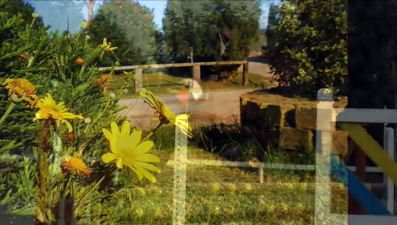 centro ippico la vega ok