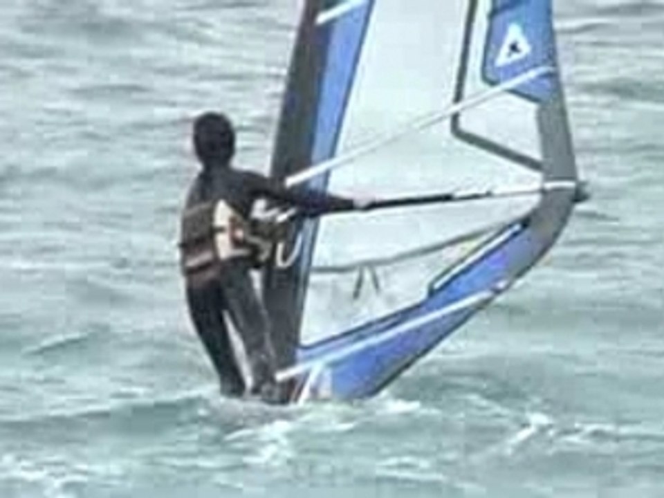 windsurf-le gecko-