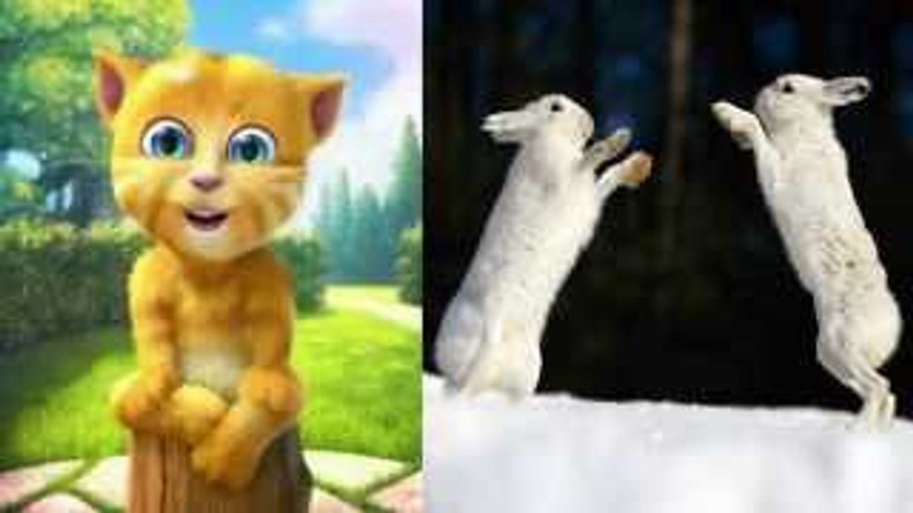 Saltan Los Conejitos | Canciones Infantiles | BabyKids