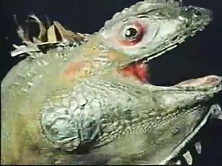 Les Salopes vont en enfer