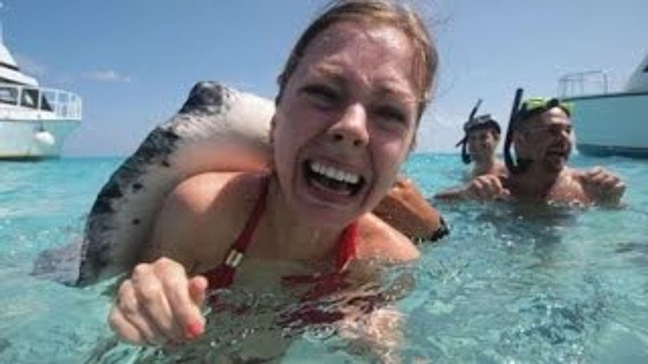 ЛУЧШИЕ ПРИКОЛЫ 2015 ОКТЯБРЬ! САМЫЕ СМЕШНЫЕ ПРИКОЛЫ   Выпуск 1461