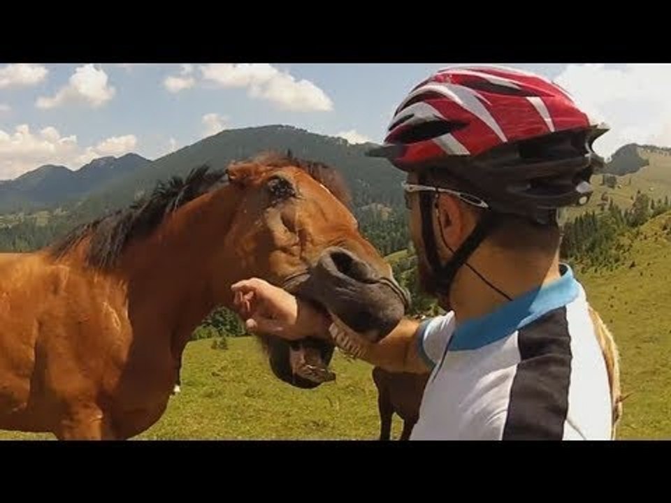 ЛУЧШИЕ ПРИКОЛЫ 2015 НОЯБРЬ. САМЫЕ СМЕШНЫЕ ПРИКОЛЫ   Выпуск 59
