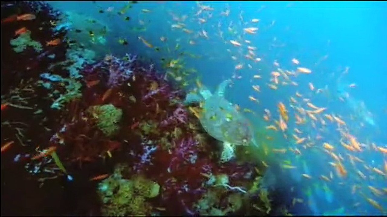 Les Seigneurs de la mer