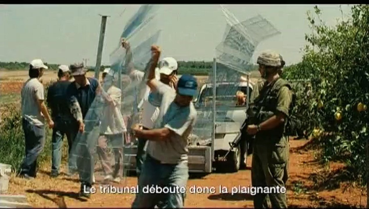 Les Citronniers
