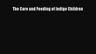 PDF Download The Care and Feeding of Indigo Children Read Online