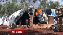 Suriyeli çocukların yaşam mücadelesi
