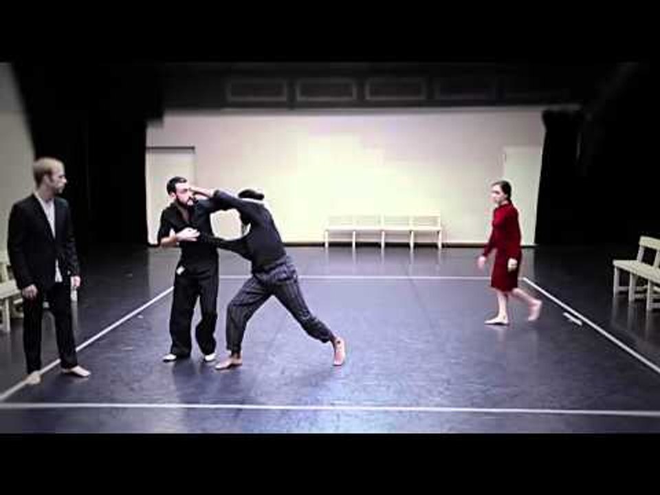 TV3 - 33 recomana - Temporada Alta. kokoro. Lali Ayguadé