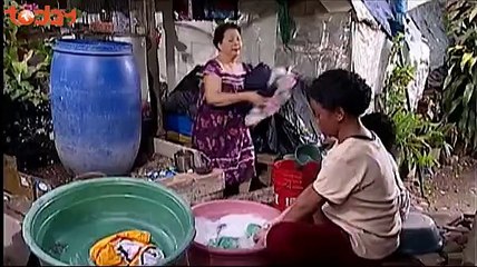 xem phim Trái Tim Vàng trên TodayTV