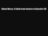 [PDF Download] Divine Mercy:  A Guide from Genesis to Benedict XVI [PDF] Online