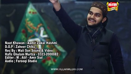Ya Rasool Allah- Aamir Zakar Hashmi- HD Full Video Naat [2016] - All Video Naat