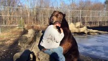 Un homme joue avec un énorme ours brun !