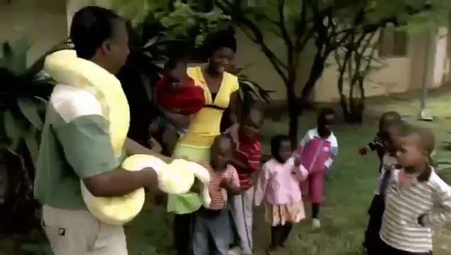 WATCH The Deadly BLACK MAMBA Snake - Africa s Most Dangerous Snakes Nature Wildlife Documentary