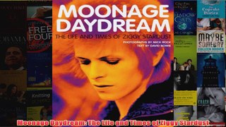 Moonage Daydream The Life and Times of Ziggy Stardust
