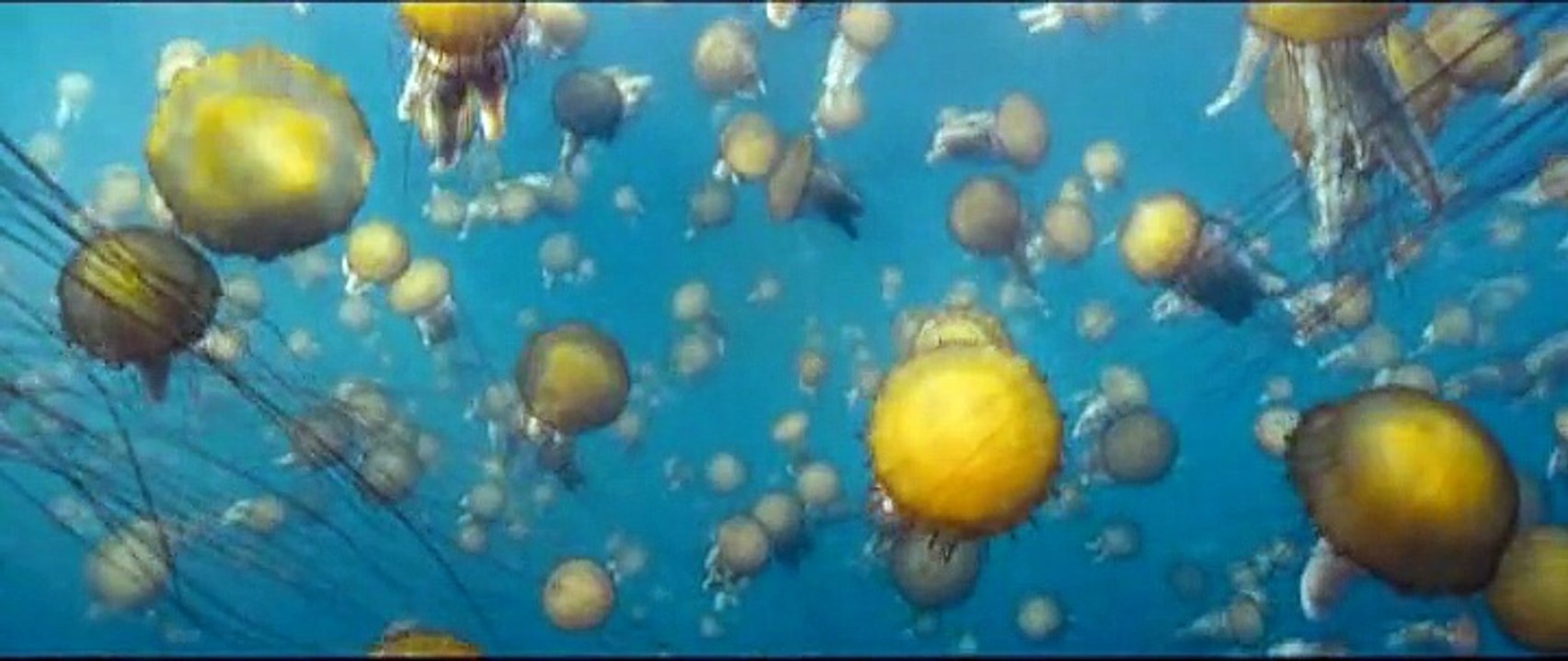 Océans