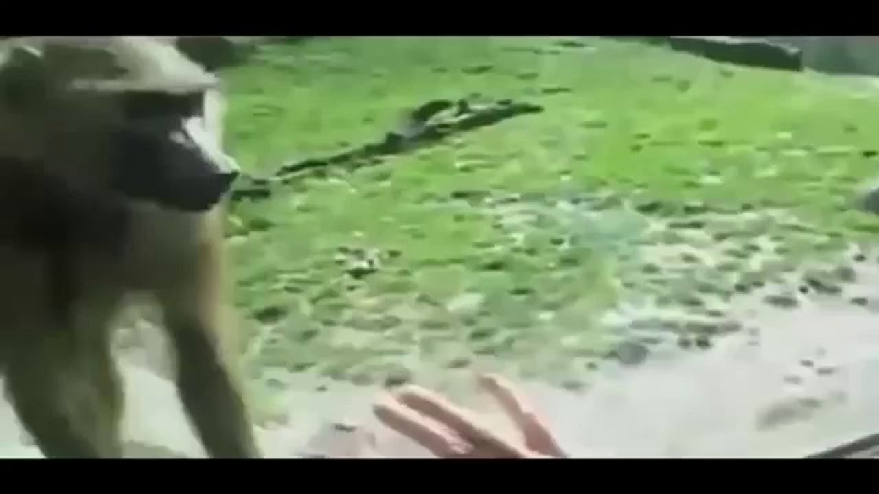 Funny videos 2016 Try not to laugh best funny clips Funny Pranks # 67 (Funny Videos 720p)