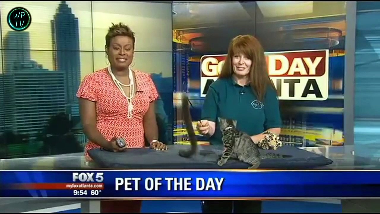 Funny videos - Fails Wins compilation 2015 #6