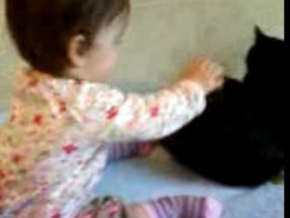 mon chat et moi