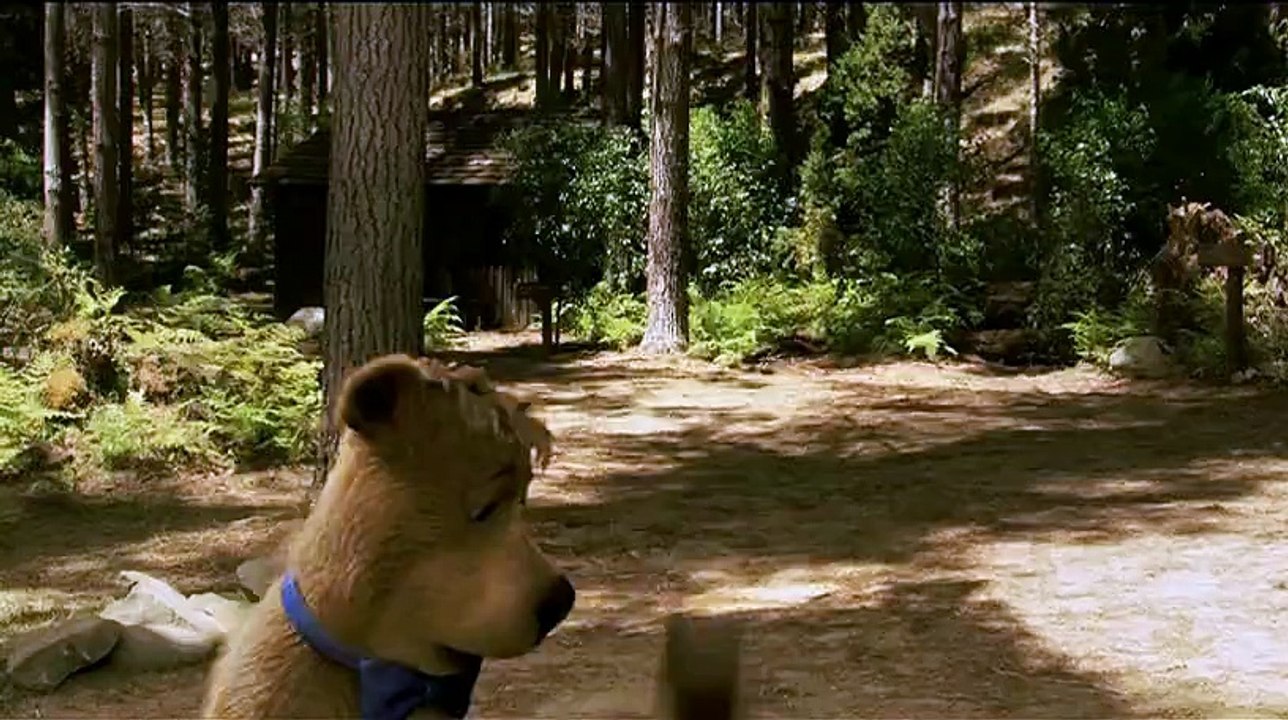 Yogi l'ours