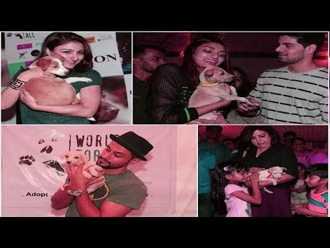 Sooraj Pancholi | Athiya Shetty Showed Up Together For An Animal Adoption Camp, Adaptathon 2015