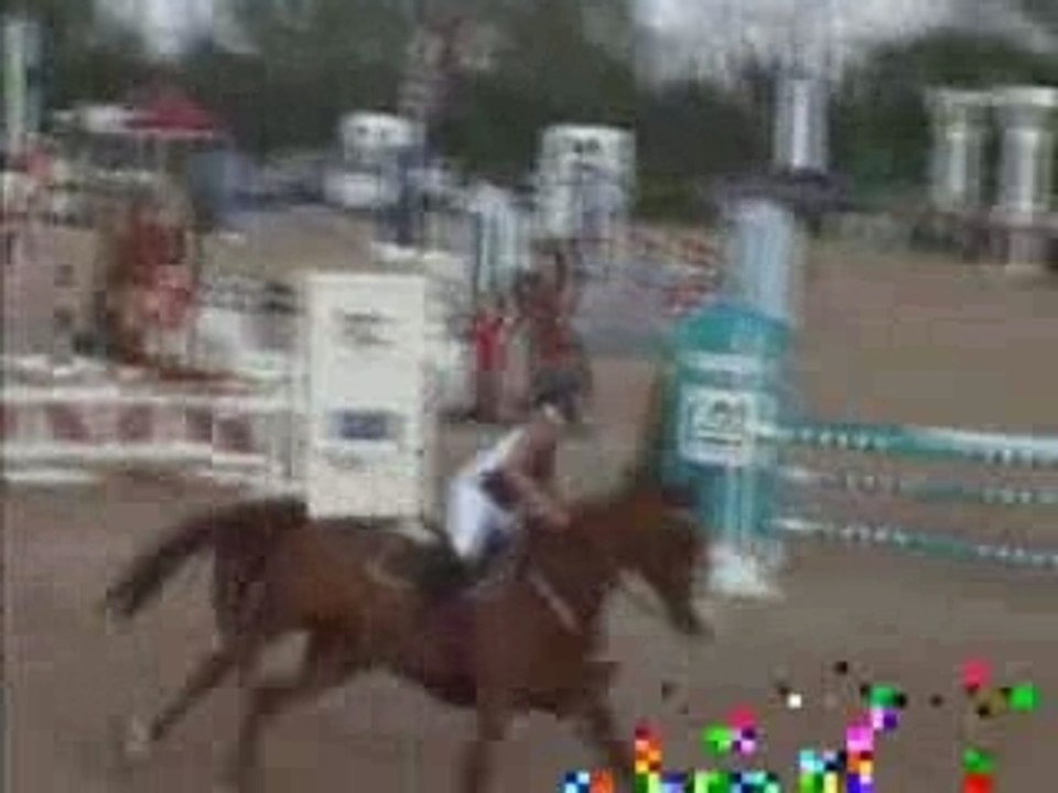 Havanne Petit GP 1m10