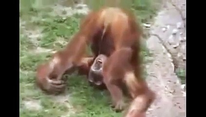 ♭~안산출장안마 서비스TIME【OlO/2165/2776】고잔안마 안산출장마사지 최저가 안산지역만의서비스