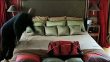 Intouchables
