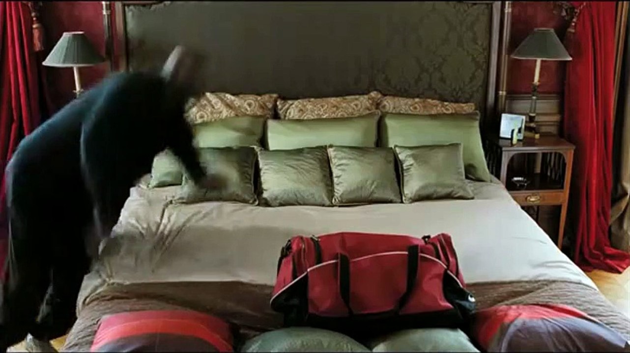 Intouchables