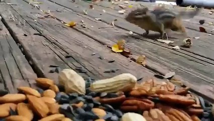 부산출장전문업체【OlO↔2165↔2776】A기본코스 부산출장안마! 부산출장마사지! 부담없는비용* 연산안마방과 연산마사지방 (문의환영)