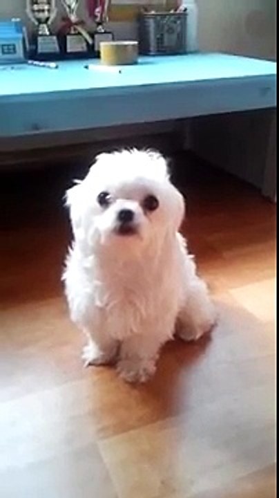 e용인출장안마마사지 New【#OlQㅡ2165ㅡ2776#】Ðay 용인출장서비스*최저가바디타임*