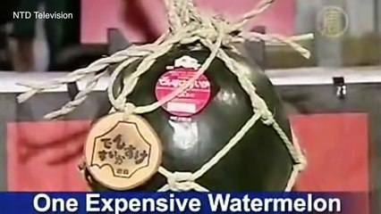 World's 10 Most Expensive Fruits_HD