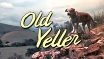 Old Yeller - Disneycember
