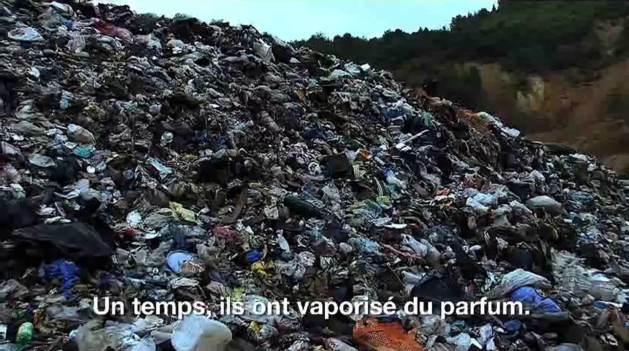 Polluting paradise