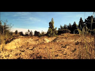 La sociedad del semáforo