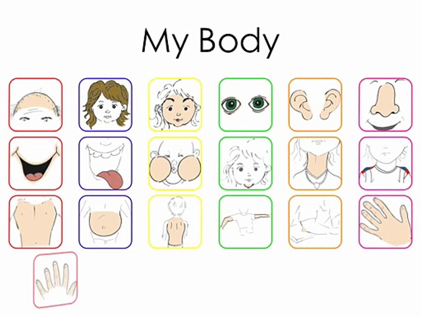 ⁣Body Vocabulary - (original)
