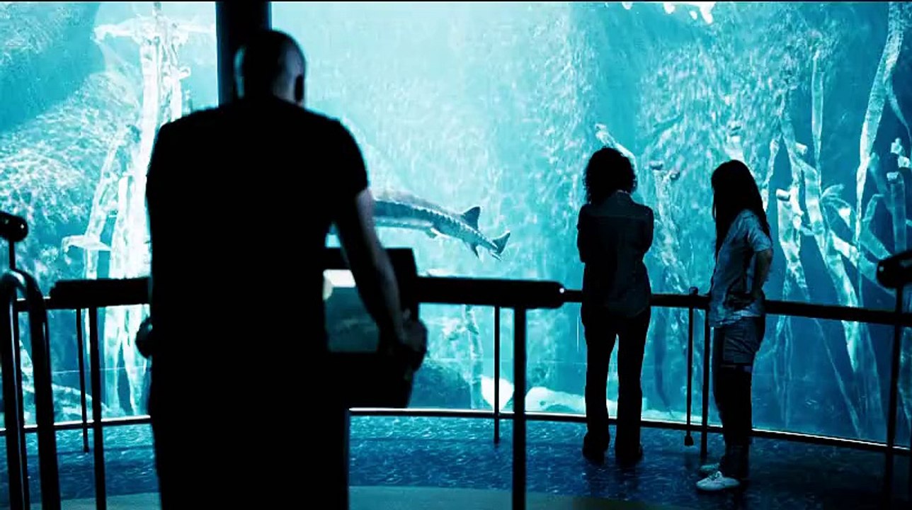 Vic+ Flo ont vu un ours