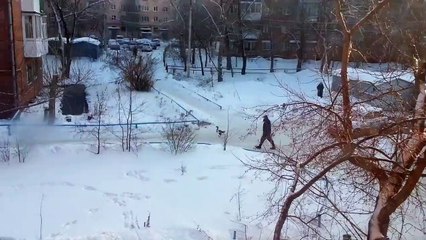 Ничего необычного просто Омич выгуливает своего гуся ))