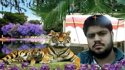 dost milte hain bechrne k liye