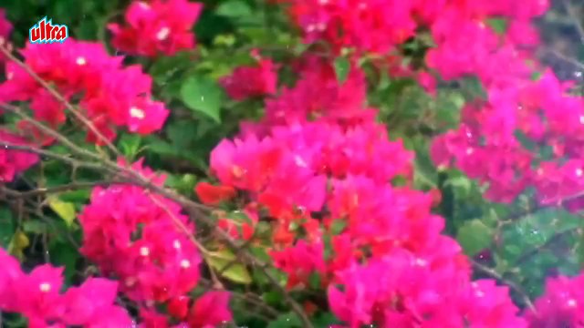 GHAR AAYA MERA PARDESI (1993) - Dheere Dheere Aaja Haule Haule Aaja Kaare Kaare Badra | Rimjhim Karja Aangan Bharja